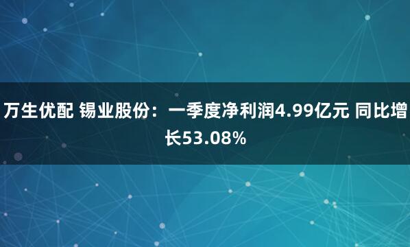 万生优配 锡业股份：一季度净利润4.99亿元 同比增长53.08%