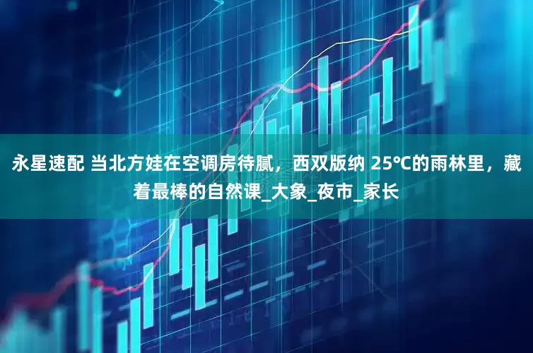永星速配 当北方娃在空调房待腻，西双版纳 25℃的雨林里，藏着最棒的自然课_大象_夜市_家长