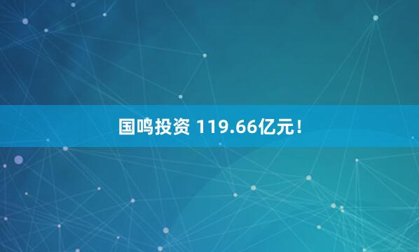 国鸣投资 119.66亿元！