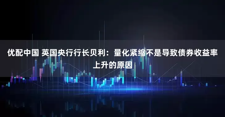 优配中国 英国央行行长贝利：量化紧缩不是导致债券收益率上升的原因