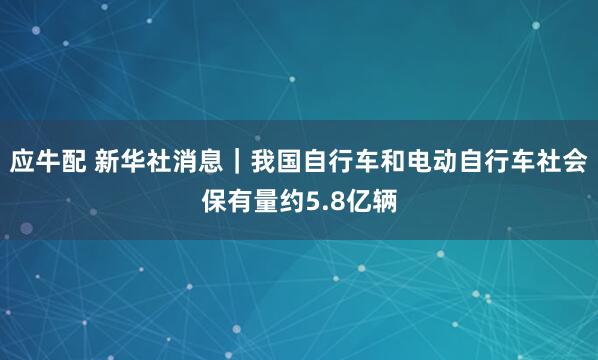应牛配 新华社消息｜我国自行车和电动自行车社会保有量约5.8亿辆