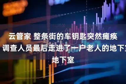 云管家 整条街的车钥匙突然瘫痪，调查人员最后走进了一户老人的地下室